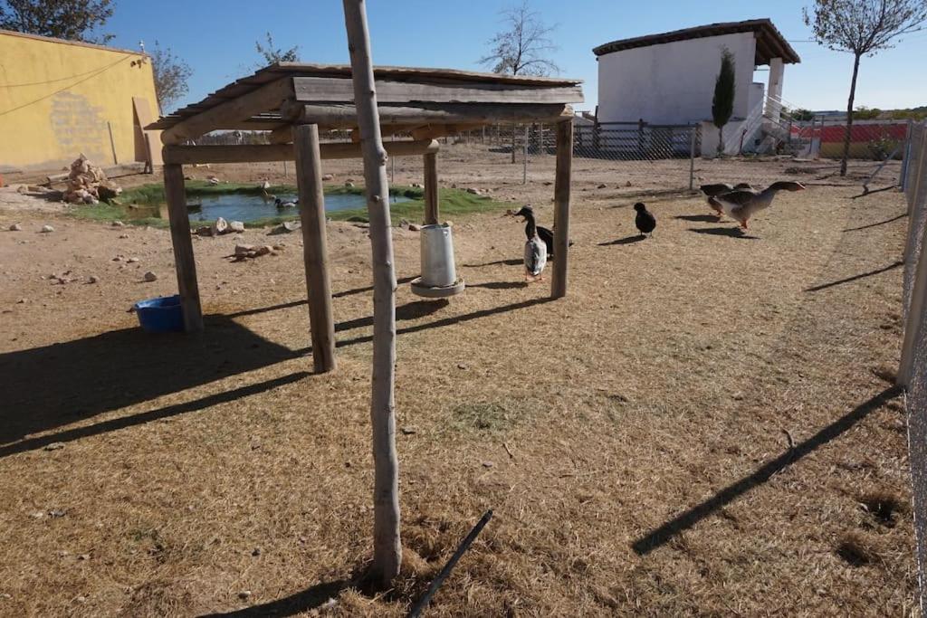 Finca La Caprichosa De Dancos Lillo Luaran gambar